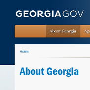 Georgia.gov website thumbnail